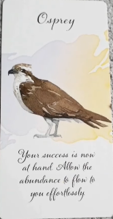 Divine Feather Messenger